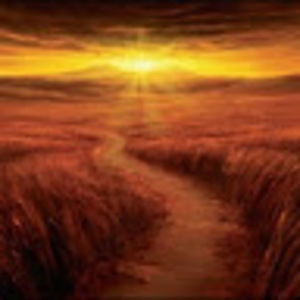 Meet your Posher, Amintor